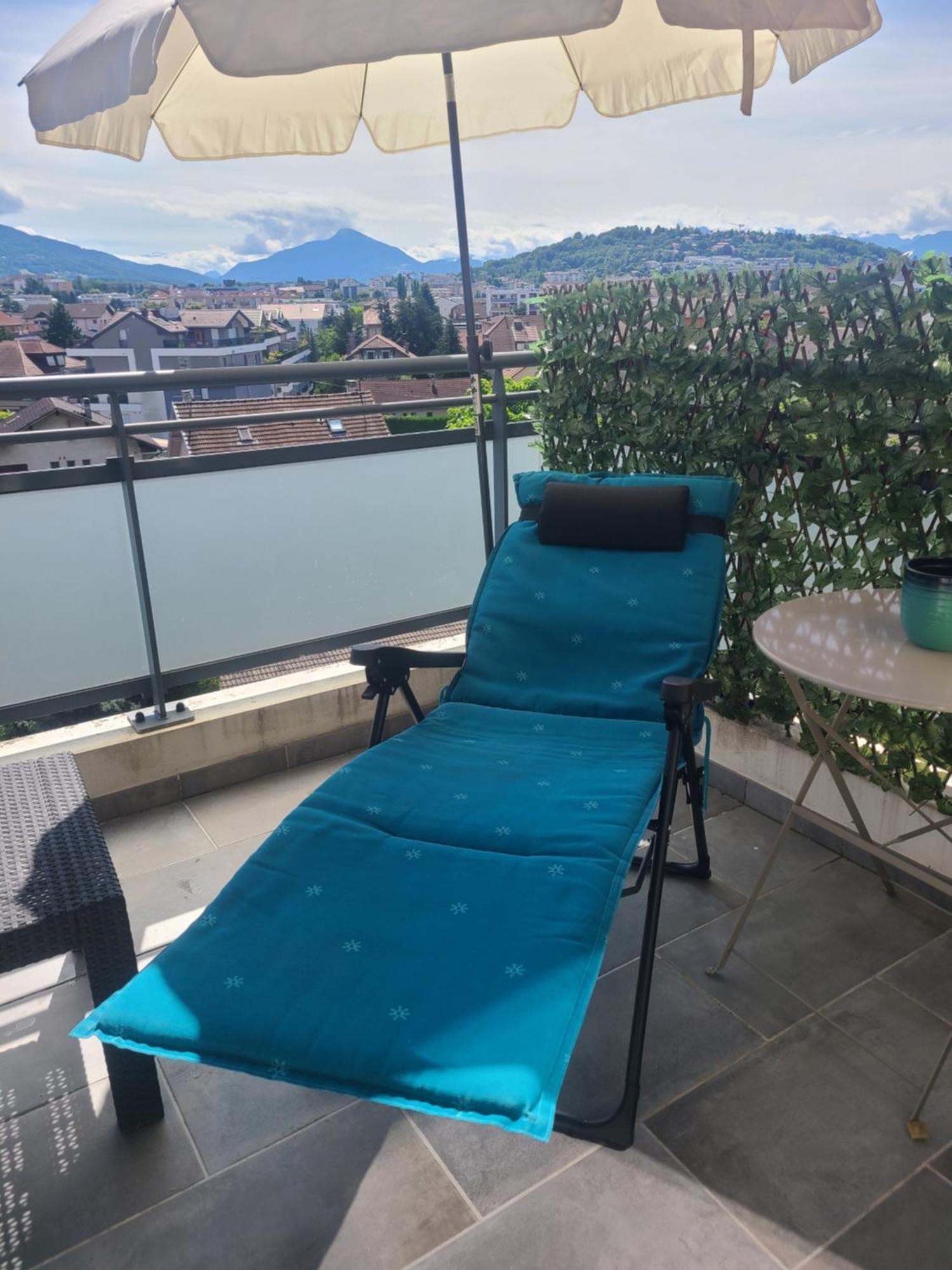Apartament Joli T2 Proche Gare Avec Vue Annemasse Zewnętrze zdjęcie