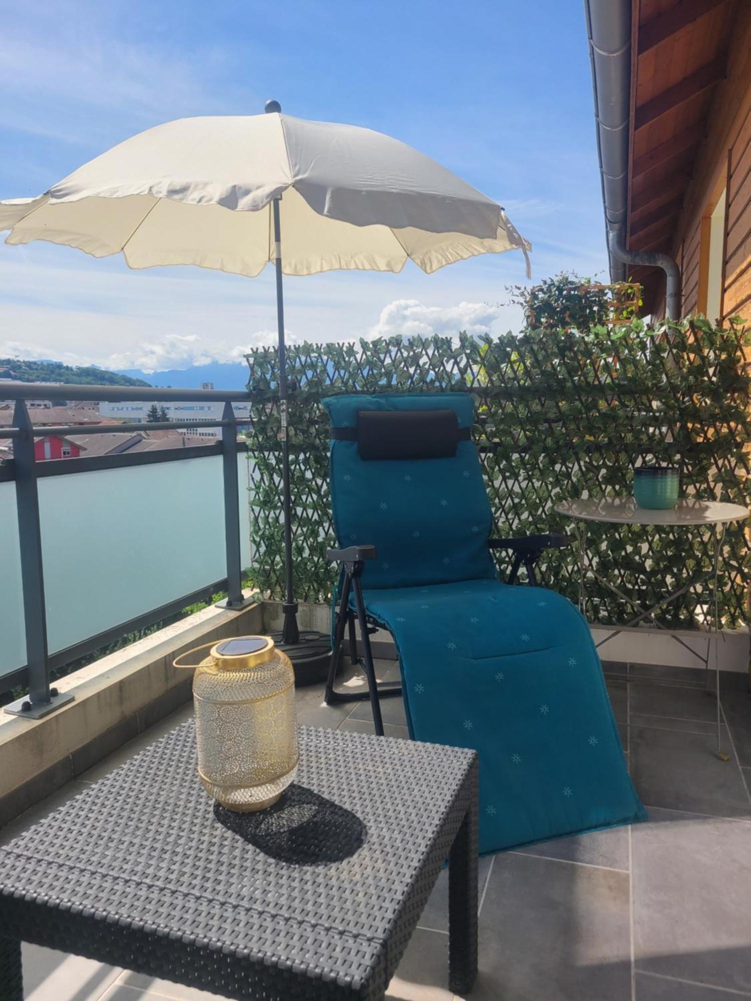 Apartament Joli T2 Proche Gare Avec Vue Annemasse Zewnętrze zdjęcie